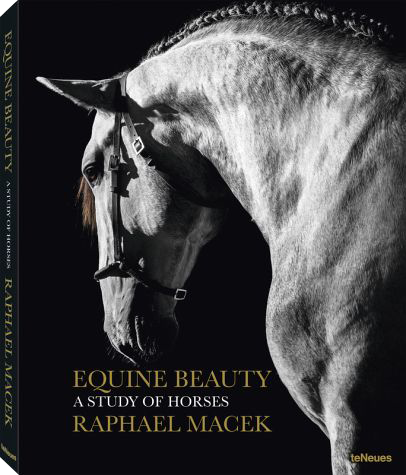 Die Schönheit der Pferde, Raphael Macek
